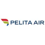 Asset 6Pelita Air